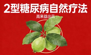 高来益115方法：2型糖尿病自然逆转方案